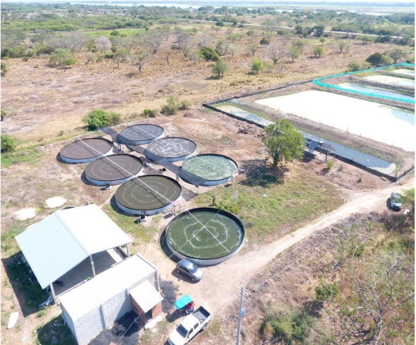 Asociación Piscícola Peces de Sion